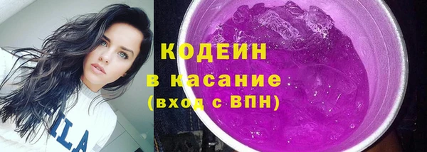 стаф Новозыбков
