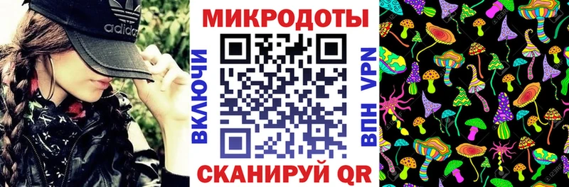 Псилоцибиновые грибы GOLDEN TEACHER  продажа наркотиков  Кашира 