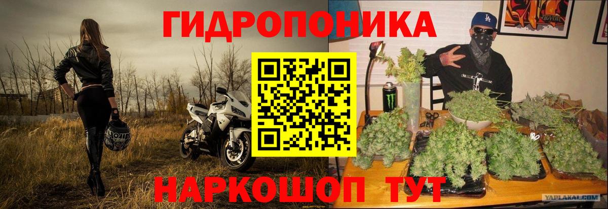 Кашира  Канабис AK-47  Каннабис AK-47  Вход с VPN  Бошки марихуана индика  Конопля White Widow 